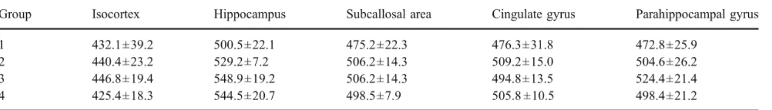 Table 1 SI values (means±SD) of all measured cortical areas in relation to age group