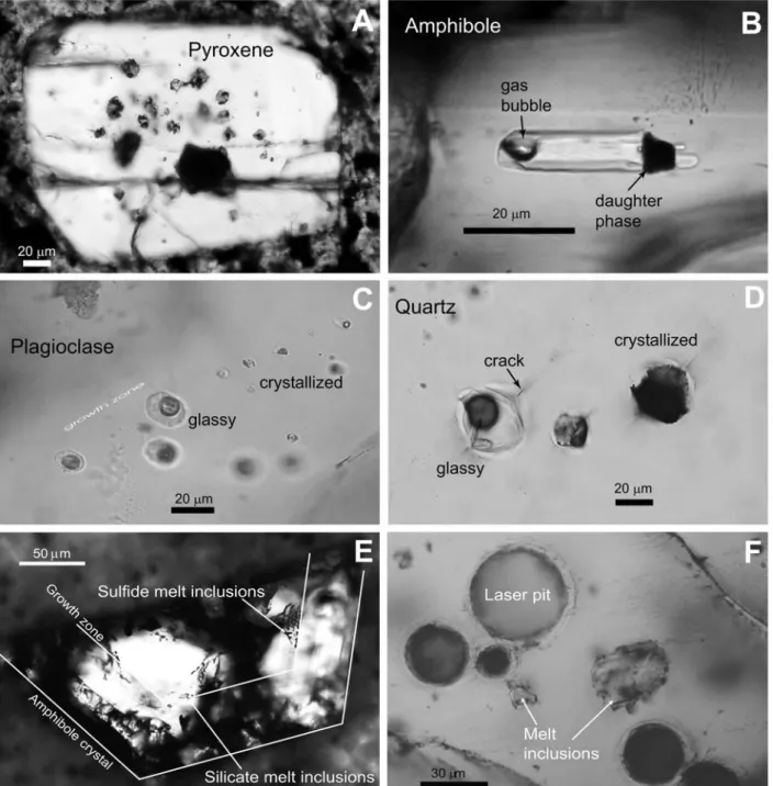 Fig. 1 Examples of melt inclusions analyzed in various host minerals. Inclusions in pyroxene (A) and amphibole (B) are generally glassy and contain daughter crystals