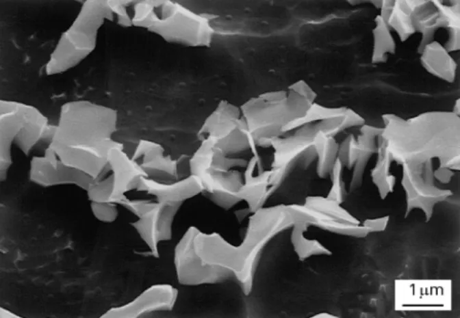 Figure 8 The evolution of the oxide film thickness on polished c.p. Ti ( 䢇 ) and Ti—6Al—7Nb (X) dependent of storing time