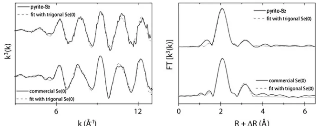 Fig. 5 Se K-edge spectra of Se 0 -grey reference material and of Se sorbed onto pyrite (sample Se-21 after 8 months ageing time): k 3 -weighted normalized spectra (left) and corresponding Fourier Transforms (right)