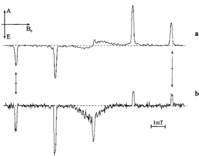 Figure  2  shows  the  TREPR  spectra  recorded  fi'om  benzophenone  dissolved  in  benzene  and  4  M  propan-2-ol  with  and  without  addition  of  pentadiene