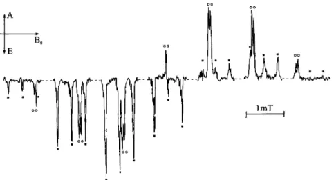 Fig.  5.  TREPR spectrum recorded 1.3-1.9  ~ts post flash from a  solution of  1.6  M acetone, 4  M  propan-2-ol and  20  mM  AIBN in  benzene