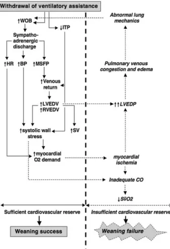Fig. 4 Differential effects of continuous positive airway pressure (CPAP) on esophageal and pericardial pressure in normovolemic and hypervolemic pigs