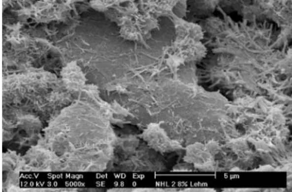 Fig. 13 SEM-image of mortar CL90-K8 after sulphate resis- resis-tance test. Formation of ettringite crystals on the surface of the kaoline.