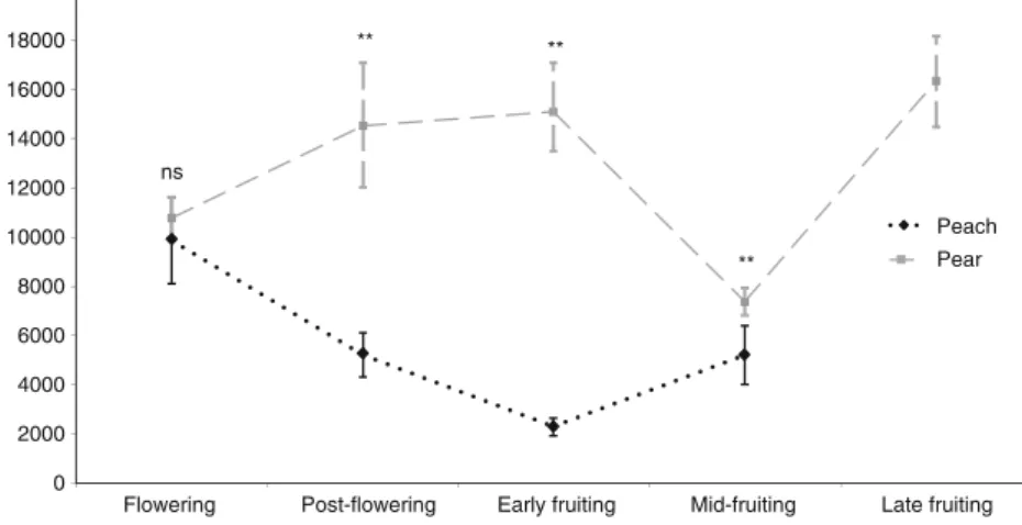Fig. 2 Comparison of the total volatile emissions, taken as the sum of the concentration (in ng) of all volatile compounds detected, (± SE) from peach and pear twigs sampled from different phenological stages throughout an entire growing season