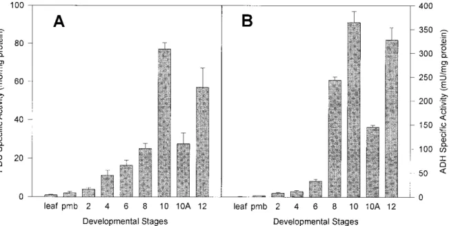 Figure 3. In vitro PDC and ADH enzymatic activity. A. PDC specific activity in leaf, premeiotic buds (pmb) and isolated microspores at different stages of development