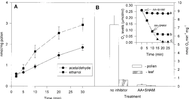 Figure 7. Oxygen uptake and time course of acetaldehyde and ethanol production by mature pollen