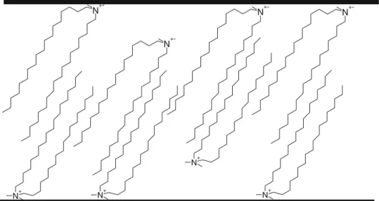 Fig. 1 Schematic of the excess molecules of the surface treatment present in the clay interlayer as local bilayer