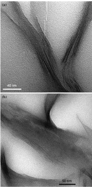Fig. 3 TEM micrographs of 3.5 vol.% composites with (a) commer- commer-cially modified BzC16  M680 and (b) self-modified BzC16  M680.