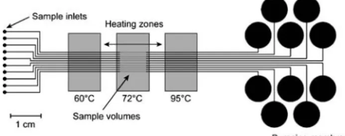 Fig. 9 Concept of a parallel arrangement of ten channels, where various samples can be simultaneously processed by synchronous actuation of the pumping membranes