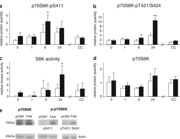 Fig. 4 EVect of FAK overexpression on p70S6K phosphorylation on S411 (a) and on T421/S424 (b), S6K in vitro kinase activity (c) and p70S6K protein level (d)