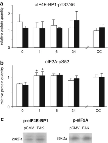 Fig. 6 EVect of FAK overexpression on eIF4E-BP1 phosphorylation on T37/46 (a) and eIF2A on S52 (b)
