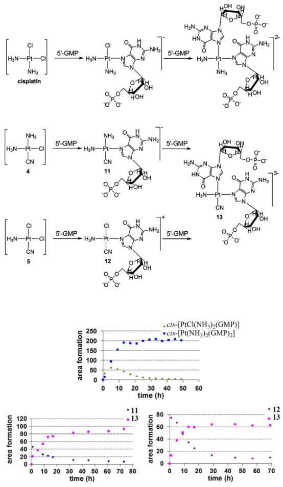 Fig. 3 Time-dependent formation of  mono-GMP-and bis-GMP-substituted complexes, starting from cisplatin, 4, and 5
