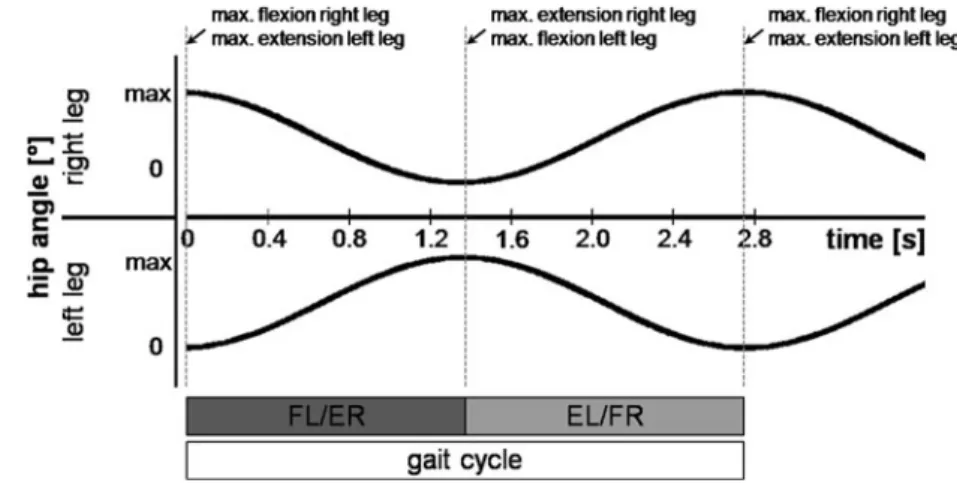 Fig. 2 The hip angle of both legs relative to the gait cycle.