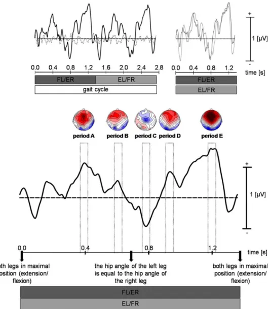 Fig. 7 Averaged movement- movement-related potential of FL/ER and EL/FR at the Cz electrode (see also right graph of Fig
