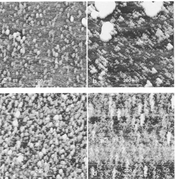 Fig. 2.  a Submicron scans of the surface of fresh plasma membranes from spinach leaves in phosphate buffer