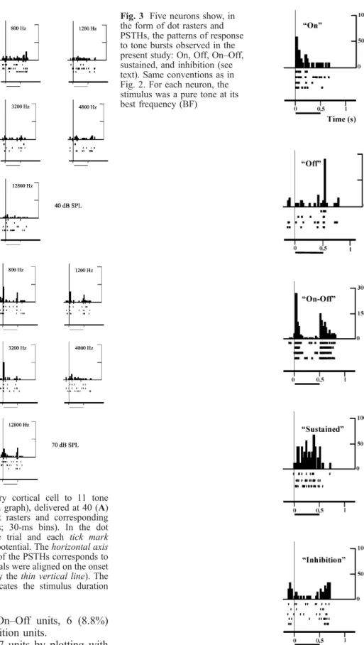 Fig. 3 Five neurons show, in the form of dot rasters and PSTHs, the patterns of response to tone bursts observed in the present study: On, Off, On – Off, sustained, and inhibition (see text)