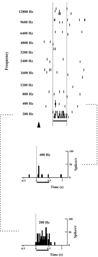 Fig. 6 Dot rasters illustrate the responses of a single auditory cortical cell to tone bursts of different frequency presented at a stable intensity of 80 dB SPL