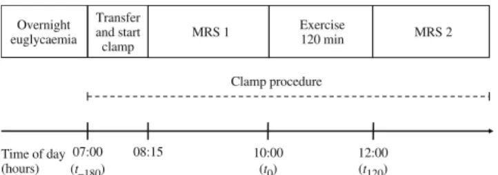 Fig. 1 Experimental plan. Timepoint 0 (t 0 ) denotes start of exercise.