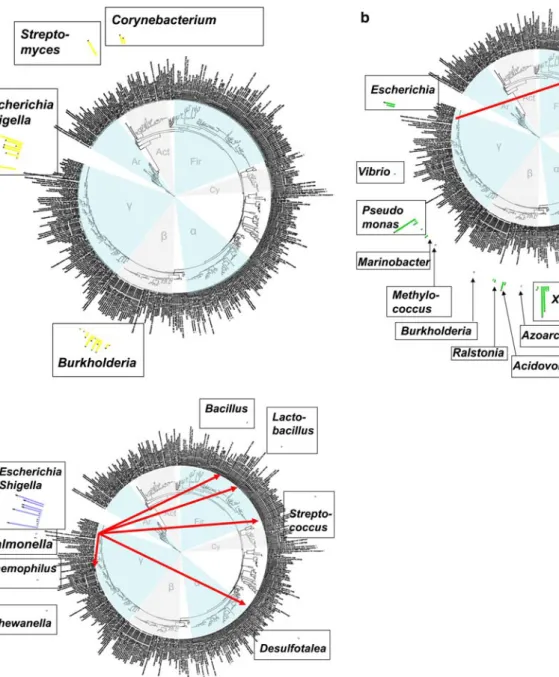 Fig. 2 Incidence of a IS110, b IS5, and c IS1 on the maximum-likeli- maximum-likeli-hood phylogenetic tree of prokaryotic 16S rDNA from Fig