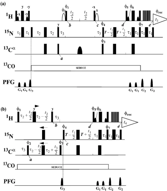 Figure 1. Experimental scheme for (a) 3D TROSY MQ-HN(CA)HA and (b) 4D TROSY MQ-HACANH experiment