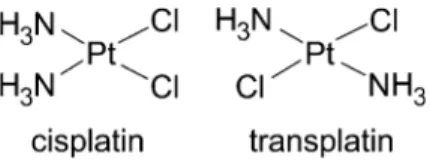 Fig. 1 Alignment of amino acid sequences of human metallothionein-2 (MT-2) and metallothionein-3 (MT-3) isoforms used in this study.