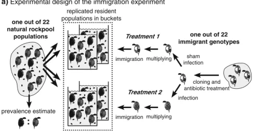 Fig. 1 a Experimental setup shown for one of 22 population replicates of the immigration experiment