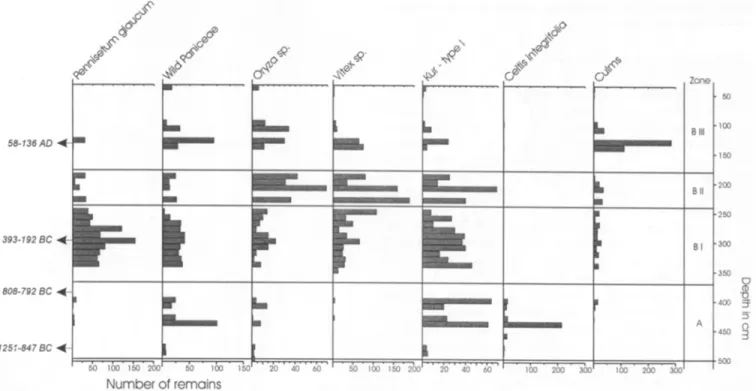 Fig.  5 :   Kursakata:  Occurrence of the main taxa  in absolute  numbers  through the sequence 