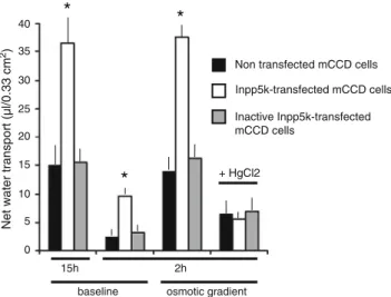 Fig. 6 Increased water transport in Inpp5k transfected mCCD cells: