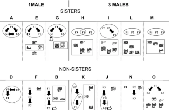 Fig. 3 Agonistic interactions per trial (left axis) and means€SE of ln-transformed values (right axis)