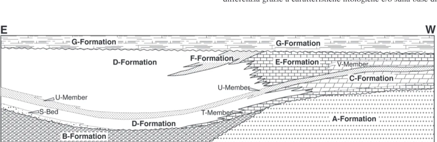 Fig. 1. Possibili relazioni fra unità litostratigrafiche. Il Membro T fa parte della Formazione C