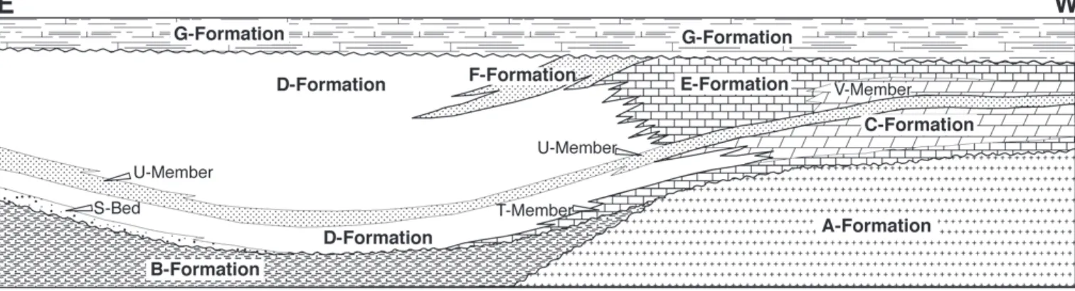 Fig. 1. Möglichkeiten von Beziehungen zwischen lithostratigraphischen Einheiten. Zur C-Formation gehört auch das T-Member