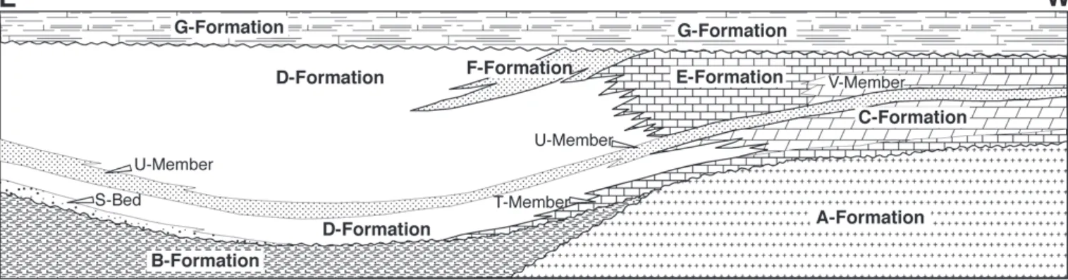 Fig. 1. Relations possibles entre les unités lithostratigraphiques. Le Membre T appartient à la Formation C