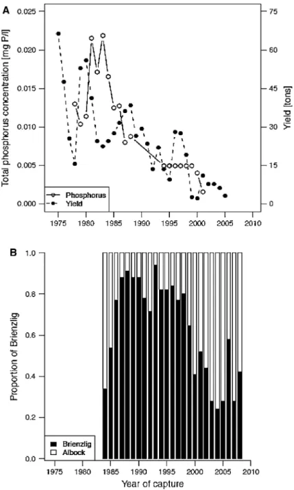 Fig. 1 Total phosphorus concentration, fishery yield, and relative abundances of the two whitefish species.