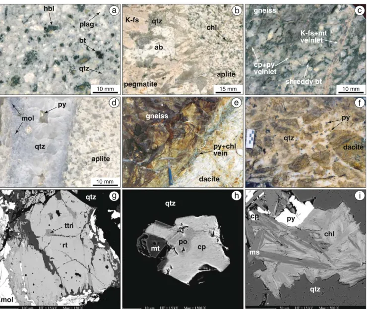 Fig. 5 Ore textures and mineralogy of the Vlaykov Vruh porphyry Cu deposit: a Propylitically altered Vlaykov Vruh granodiorite; b Aplite – pegmatite texture of felsic dyke cutting the granodiorite porphyry; c K-silicate alteration assemblage affecting the 
