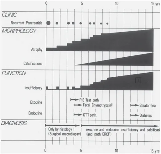 Fig. 1.  Scheme of the long-term  evolution of the three major, closely  interrelated variables that change in  association with progressive acinar  atrophy/fi brosis after onset of chronic  pancreatitis (CP)