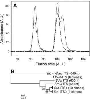 Fig. 6 Dynamics of Sulfurospirillum and Wolinella ITS sequences during PCE dechlorination by SL2-PCEb