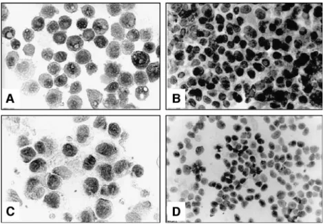 Figure 2 shows the relative mRNA expression (RT-PCR) of the phenotype markers in cells from HO and iliac crest following 7 days of incubation