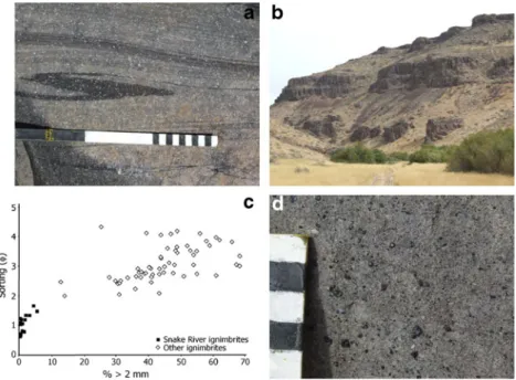 Fig. 3 Additional lithofacies associated with SR-type volcanism. a Parallel-bedded coarse ash fallout at the base of Cougar Point Tuff XI overlying a well-developed palaeosol, Jarbidge Canyon, NV, USA.