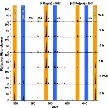 Fig. 5 Comparison of calculated peak patterns with experimental isotopic distributions of selected adducts