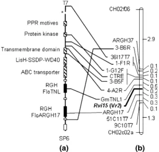 Fig. 4 ORF predictions on the ‘Florina’ BAC 36I17 clone sequence and comparison of the physical order of the markers in ‘Florina’ with the genetic order on the ‘Golden  Deli-cious’ 9 GMAL2473 map