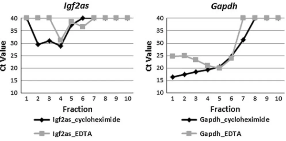 Fig. 5 Distribution of Igf2as and Gapdh transcripts along the fractions. The Igf2 antisense (left) and Gapdh (right) transcripts were quantified by qPCR for each fraction (1–10)