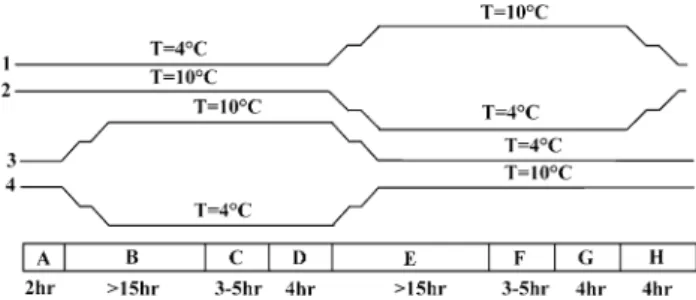 Fig. 1 Schematic representation of the experimental protocol show- show-ing temperature as a function of time