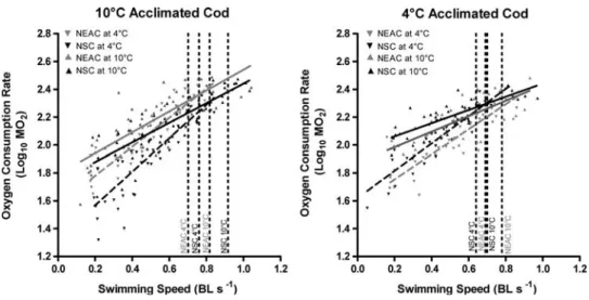 Table 3 Swimming efficiency plot data