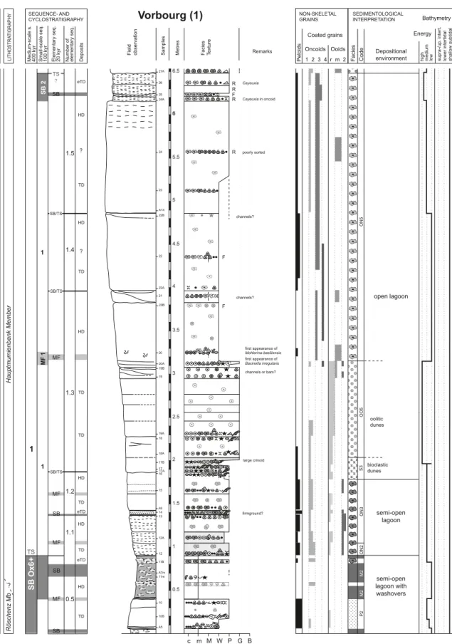 Fig. 10.  Facies, microfacies analysis, palaeoenvironments, and sequence-stratigraphic interpretation of the Vorbourg section