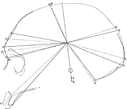 Figure 2. Diagrammatic superposition of a Neanderthal and an Australian skull in proﬁle