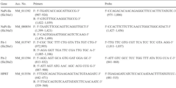 Table 1 Primers and probes used for quantitative real-time PCR