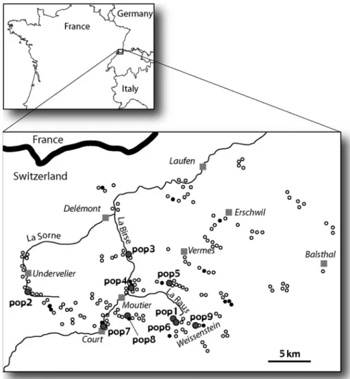 Fig. 1 Locations of the cliffs examined for Trochulus caelatus. Solid dots indicate cliffs where the species was found, open dots indicate cliffs where the species was not found and grey dots to populations analysed in this study