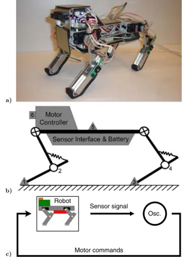 Fig. 1 (a) PUPPY II, a robot “dog” with passive dynamics (cf. springs in the knee joints) and several sensor modalities
