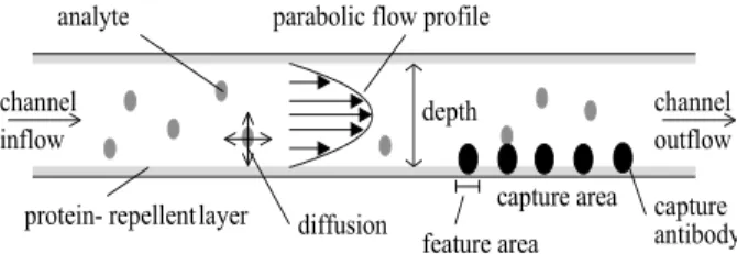 Fig. 1. Configuration of a surface immunoassay in a microfluidic channel. The liquid enters the channel at the inlet on the left-hand side and flows through the channel under laminar conditions with a parabolic flow profile